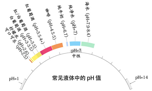 葡萄酒